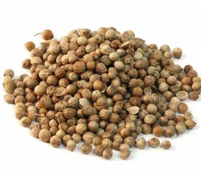 Coriander Seeds - Mama Alice