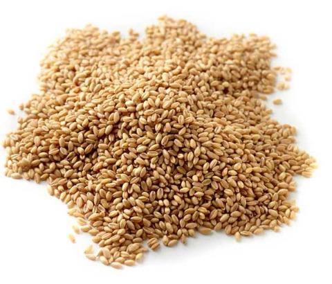 Hulled Wheat - Mama Alice